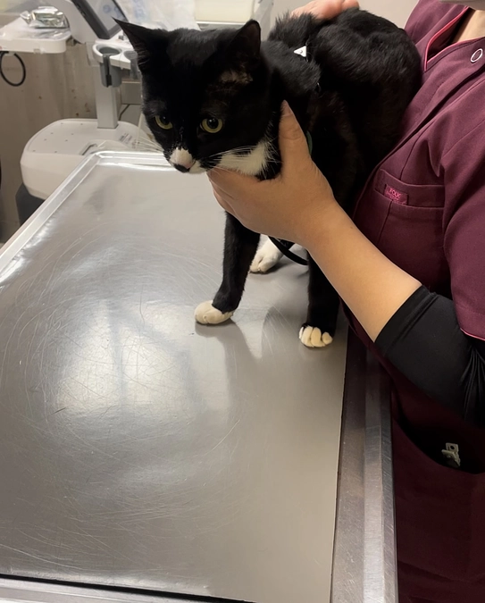 治療完了後の定期検診2回目