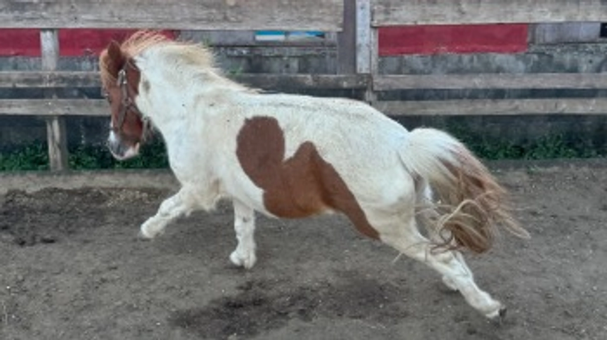 残り1時間！達成までよろしくお願いいたします！