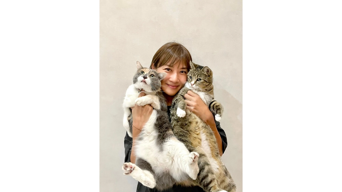 藤崎奈々子様から応援メッセージをいただいております！