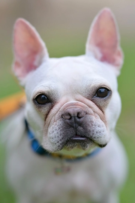 リターンお待たせしました！