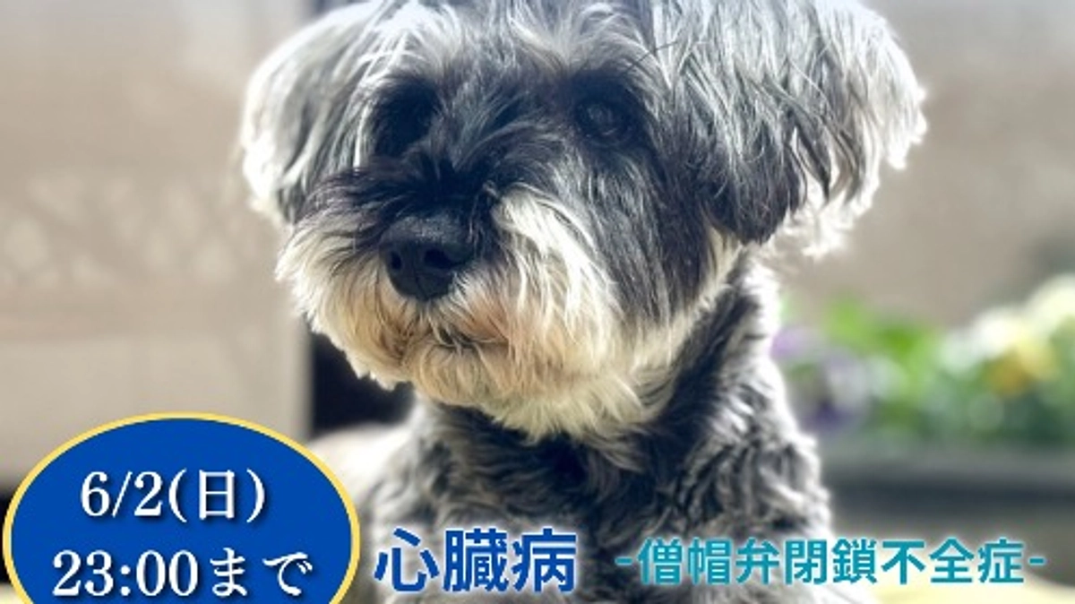 終了まで残り2時間になりました。