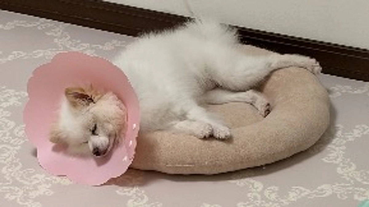 術後の検査報告❤️‍🩹