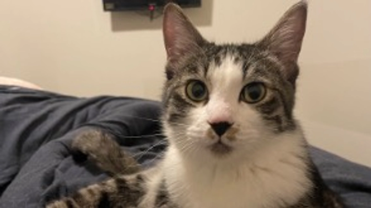 生まれて10ヶ月になりました