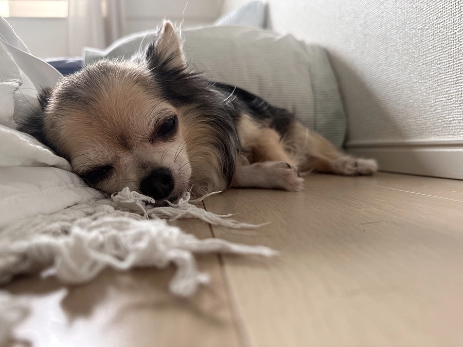 【公開12日目】たくさんの貴重な出会いに感謝