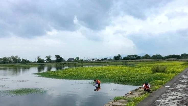 日本の自然環境を守るため。外来水生植物を抑制する技術を開発！