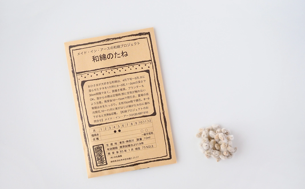 B．「和綿のたね」と「育て方リーフレット」