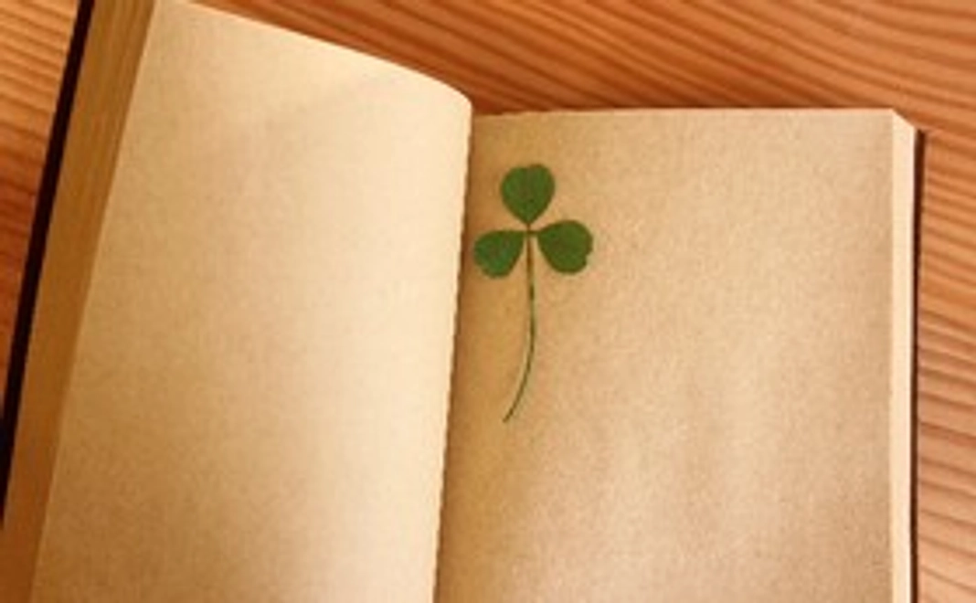 完成本を１冊お届けします！