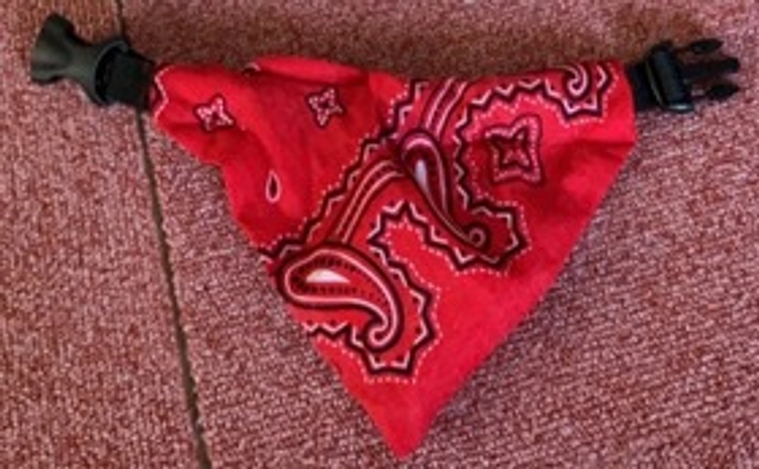 バンダナコース（赤・青からお選びいただけます）