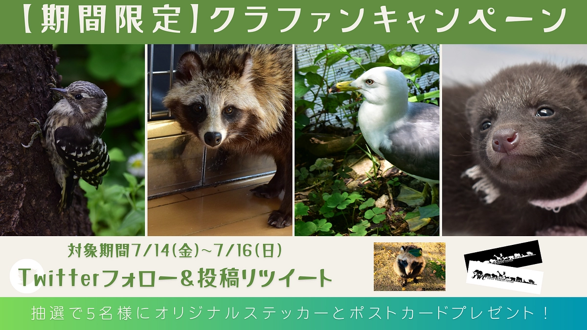 【期間限定】Twitterフォロー＆リツイートでステッカーとポストカードをゲット！！