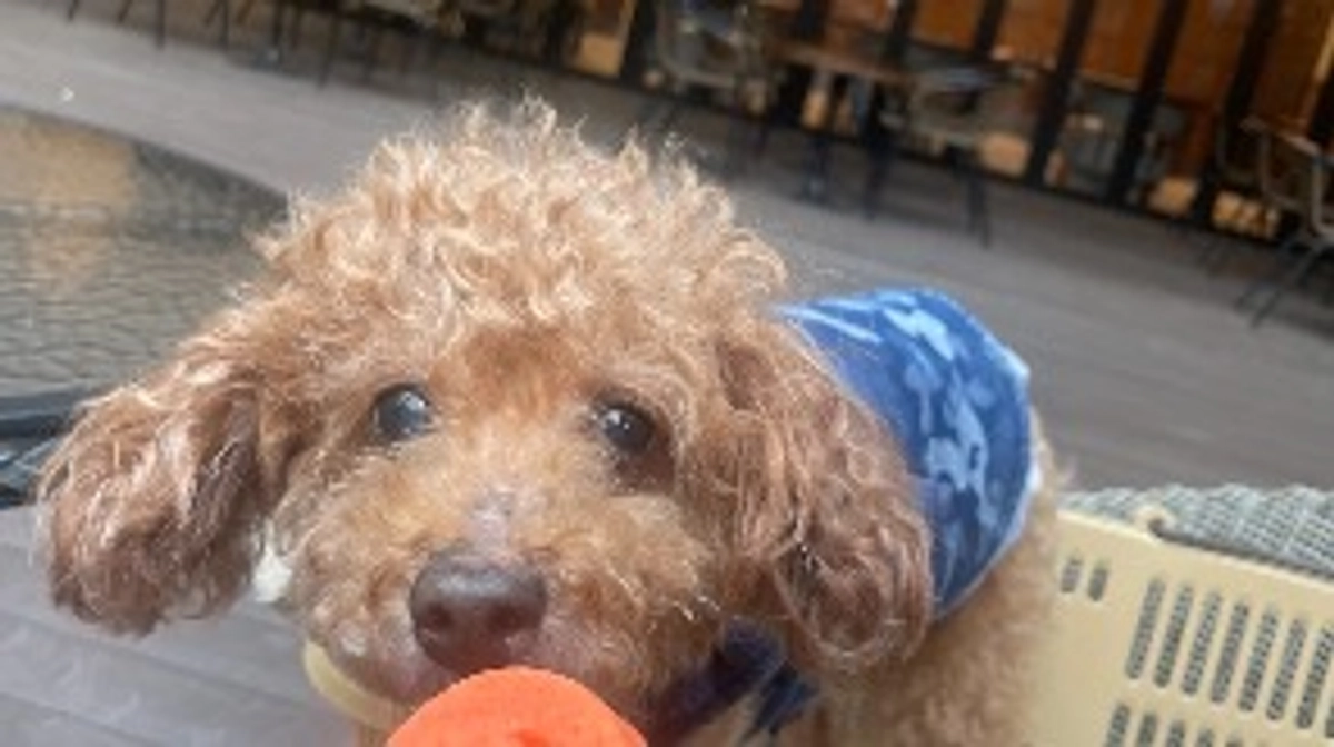 術後1ヶ月が経ちました！