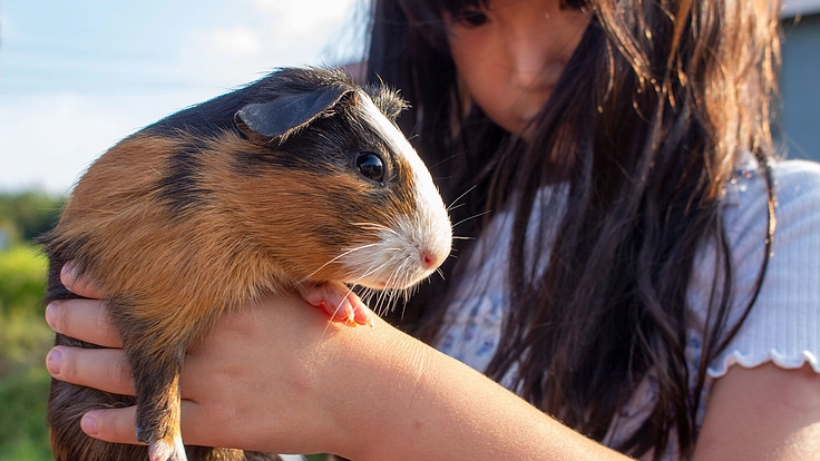 動物ふれあい体験を通じ、子供達や地域の方々に笑顔を贈りたい！
