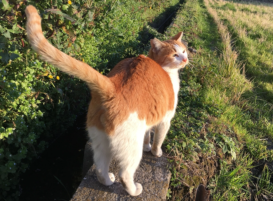 プロジェクトの終了報告完了のお知らせと、2023/03/26～04/30の新たな場所よりご報告。