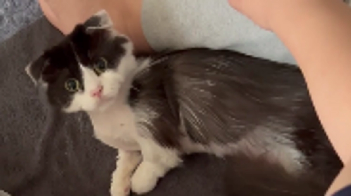 11/10〜11のテオくんの様子