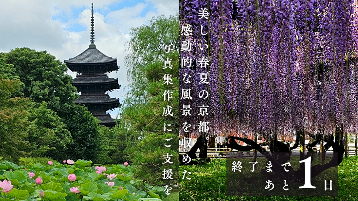 【終了まで残り1日】たくさんの応援コメントありがとうございます③