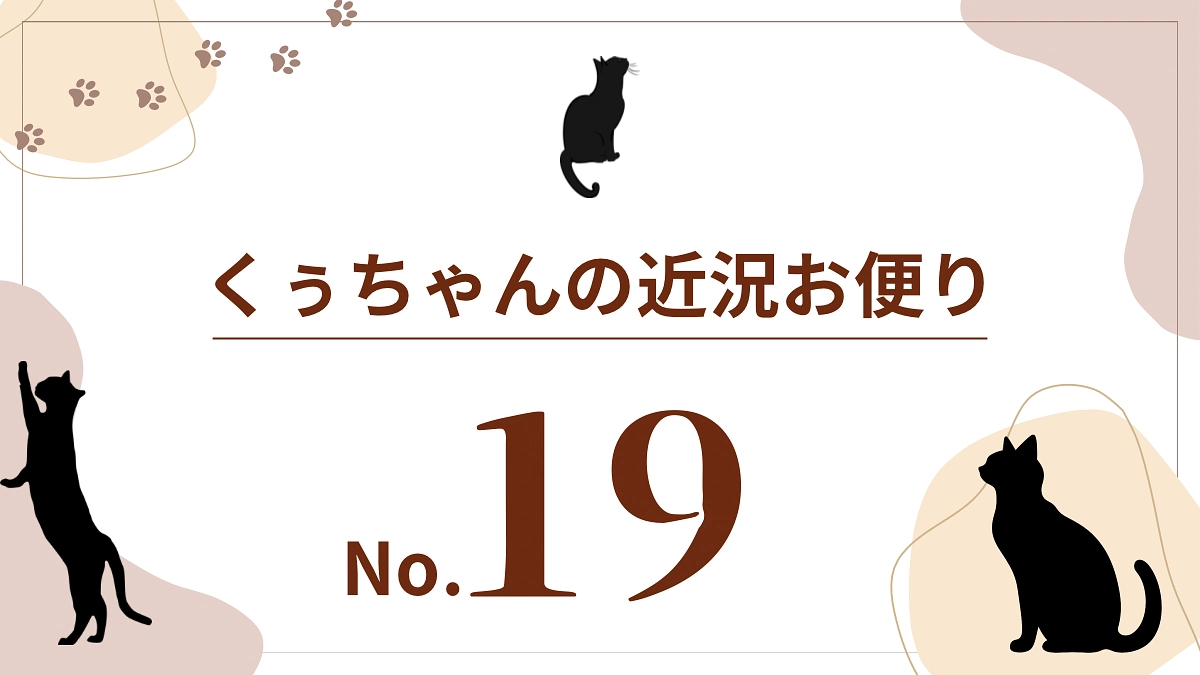 【くぅちゃんの近況おたより（8月29日〜9月4日）】