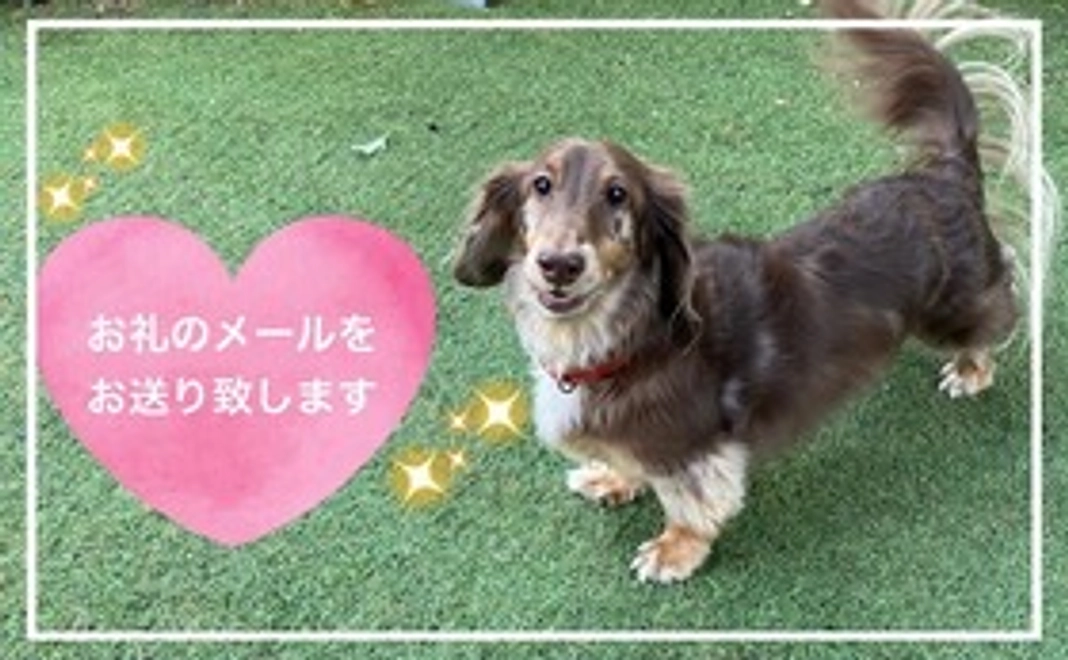 【リターン不要の方向け】Pet House tee応援コース！