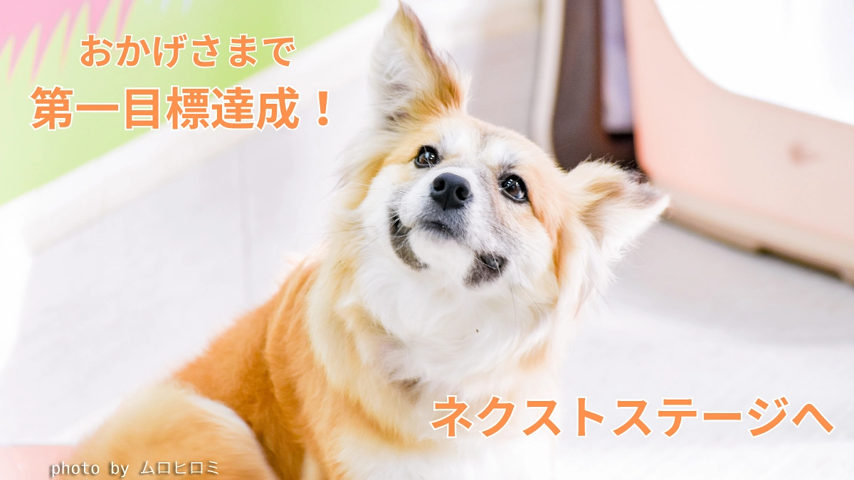 第一目標を達成いたしました！ネクストゴールへ進みます！