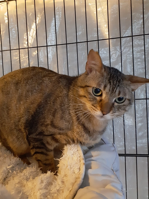 【もみじ君】トライアルに出発！