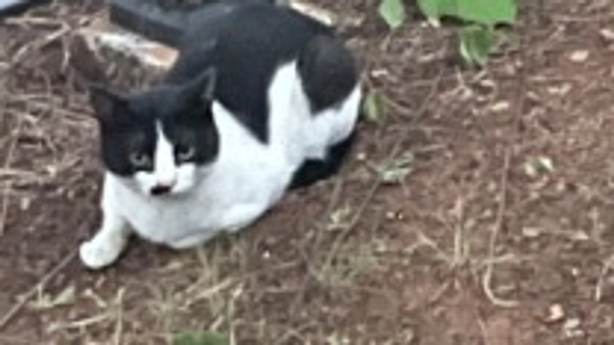 無事に達成することができました。