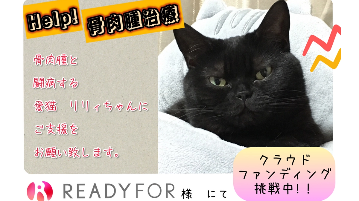 【拡散希望】骨のガン治療のためご支援をお願い致します！