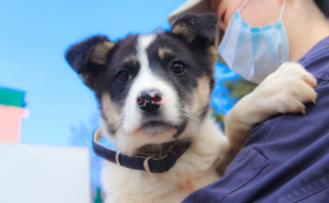 SOS活動応援コース