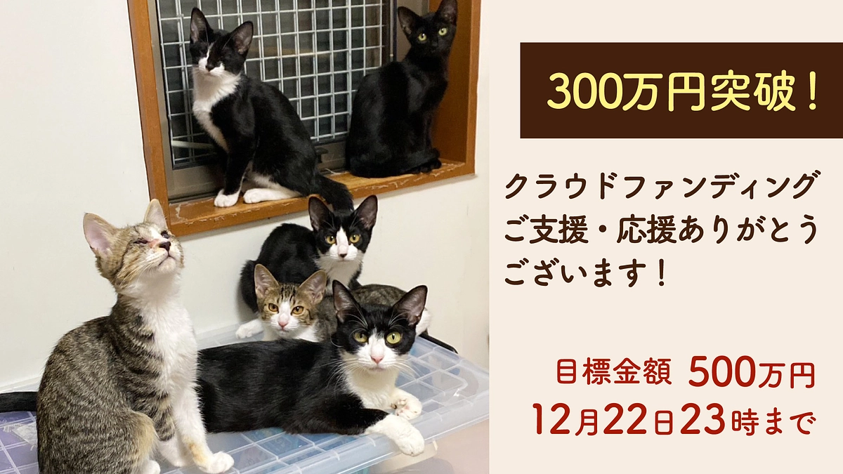 ご支援予約300万円突破御礼！