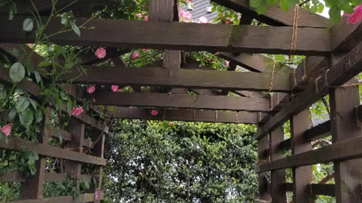 母を花咲く墓地で眠らせたい