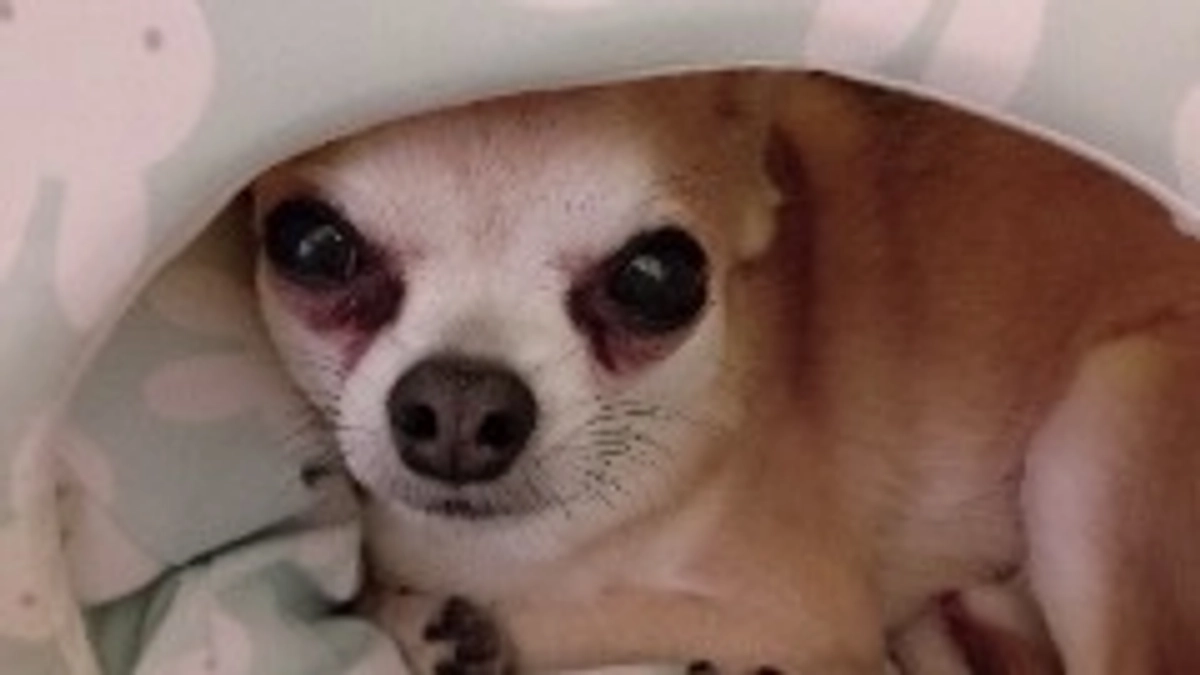 4/1　代理支援について