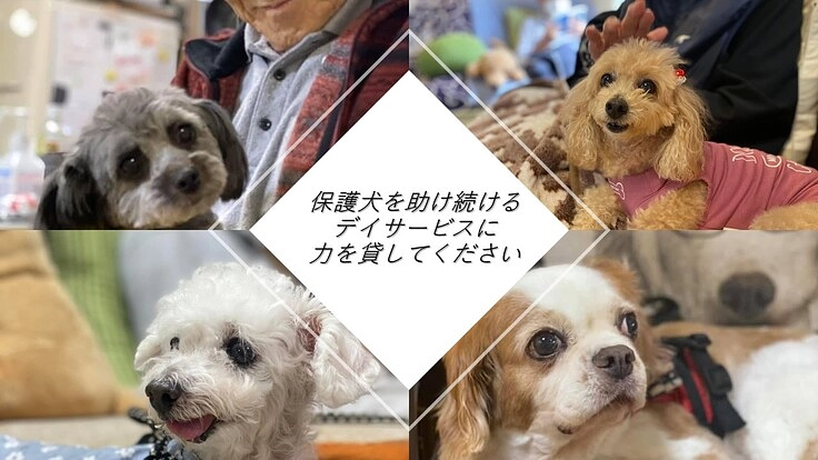 保護犬を助け続ける高齢者デイサービスを助けて下さい