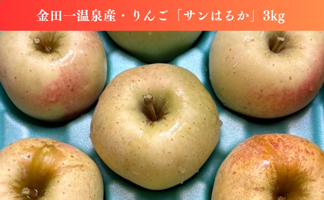 【おいしいでお祝い！】「金田一温泉観光りんご園」コース