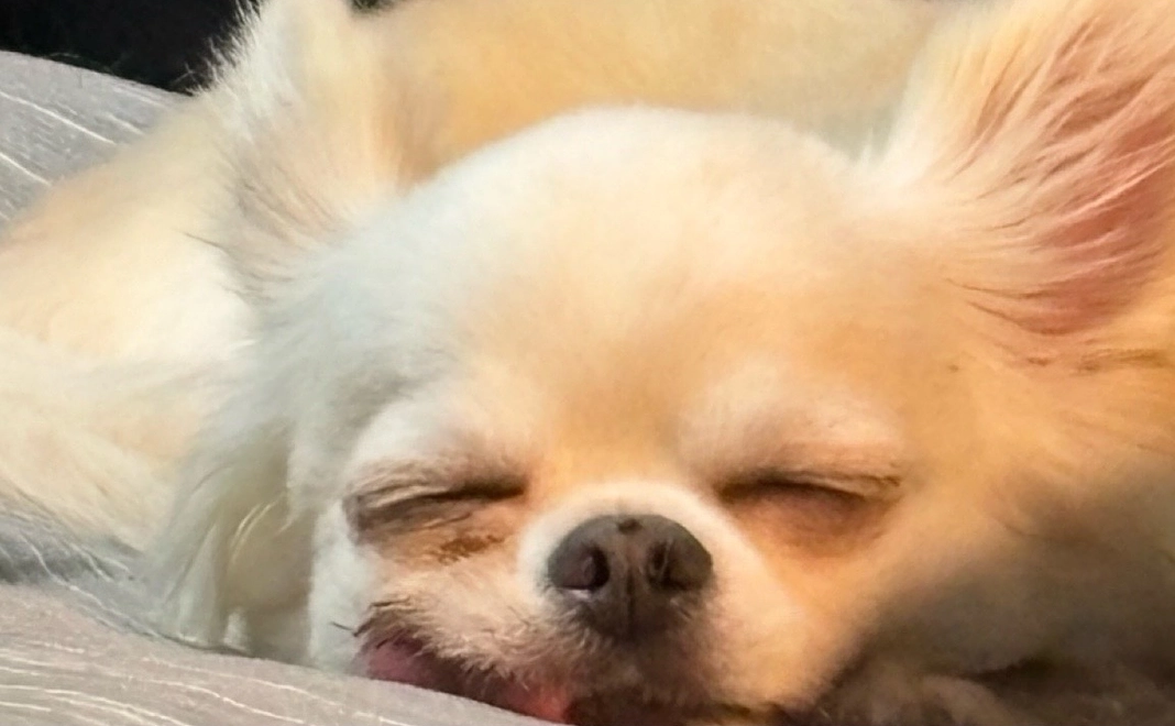 感謝のメールと活動報告200000