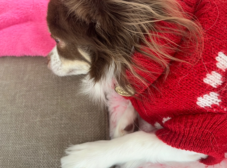 2023.12.17 私の気持ちなど。