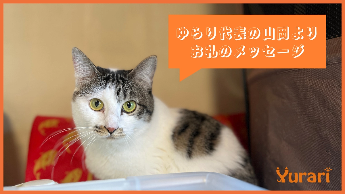 【大切なお知らせ】ゆらり代表の山岡より、皆様へのお礼メッセージ