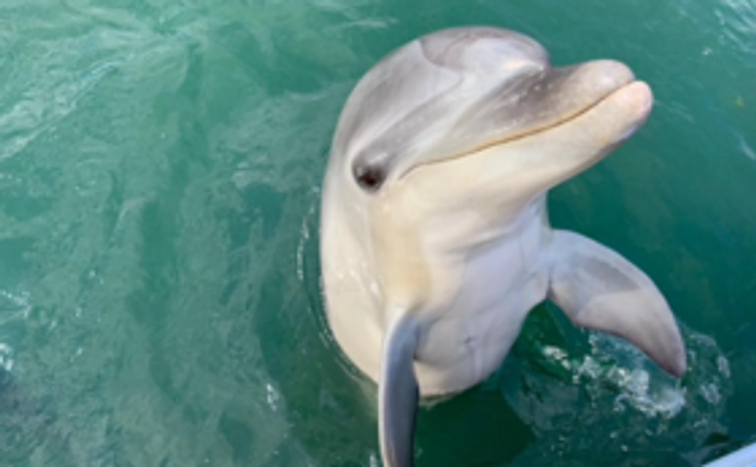 【お気持ちコース】5千円