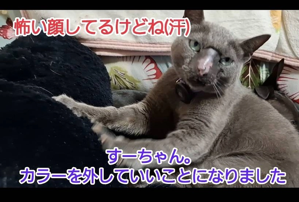 本日、クラウドファンディングを終了し達成することができました。