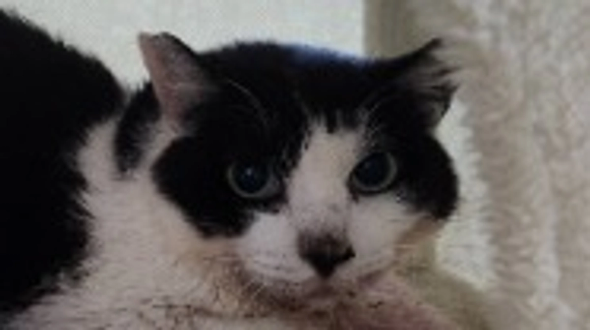 腎不全について📓