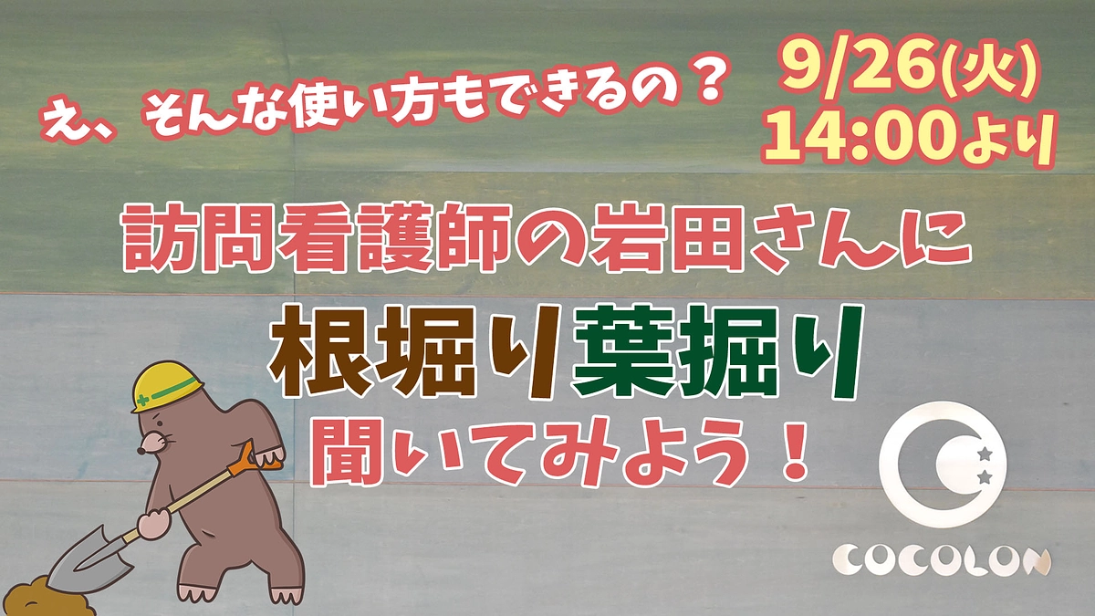 【COCOLON最新情報🌟】セミナー開催！テーマは「訪問看護師に聞いてみよう！」