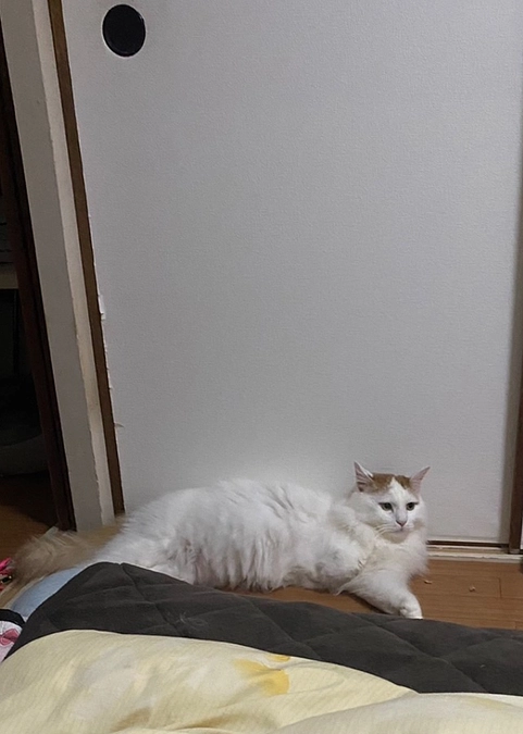 目標達成のご報告と感謝の気持ち、本当にありがとうございました。