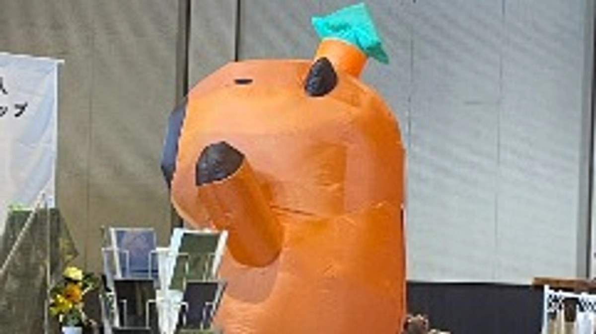『カピバラフェスティバラ❓️』会場