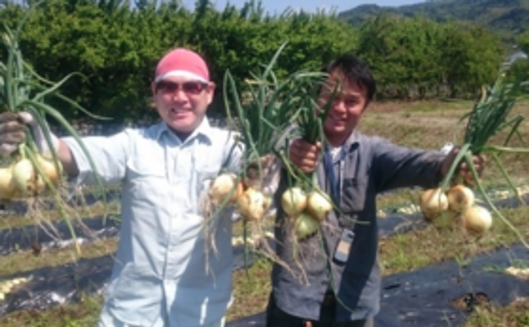 おひるねみかんセット竹