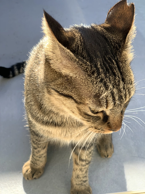 23日目＊達成17日目