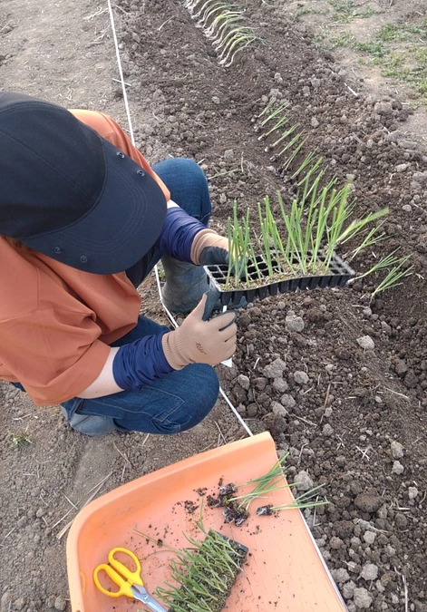 雨が嬉しいなんて