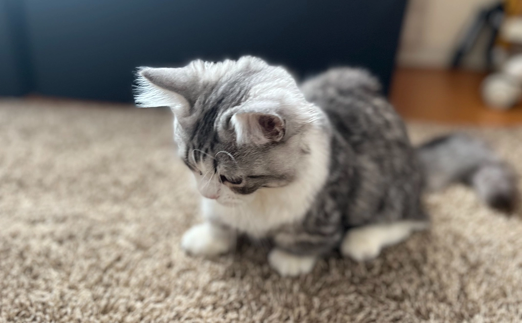 ココロから感謝コース(1000円)