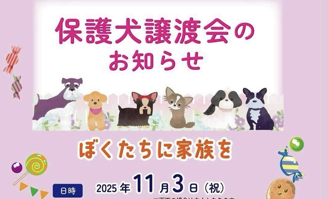 支援物資をいただきました＆本日譲渡会です。