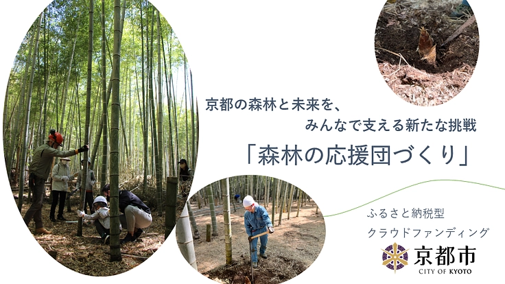 ビーガンタケノコカレーの開発で嵯峨野の竹林景観を保全！
