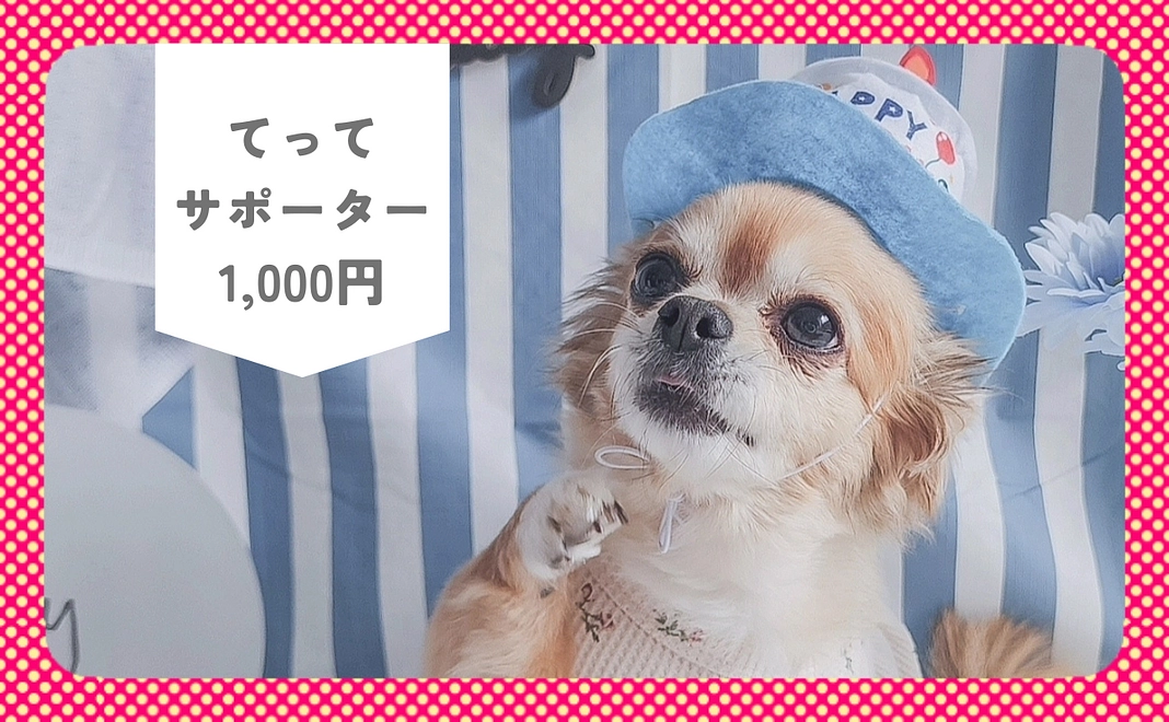 感謝のメール&インスタグラムへお名前(イニシャル)の掲載（1,000円）