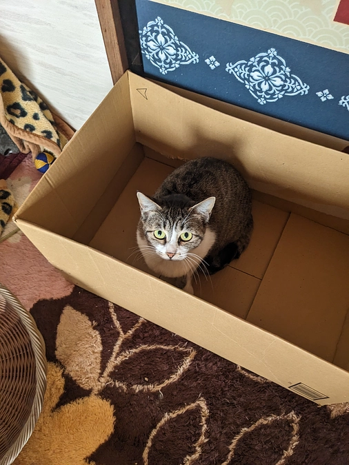 目標金額達成致しました！