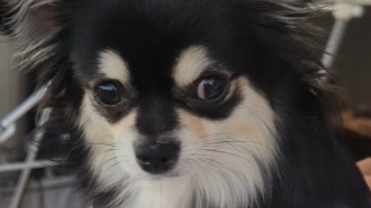 外で思いっきり走り回れるように…