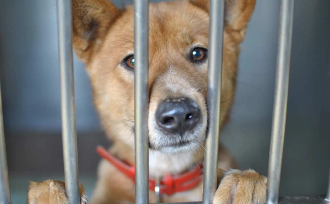 お気持ちコース