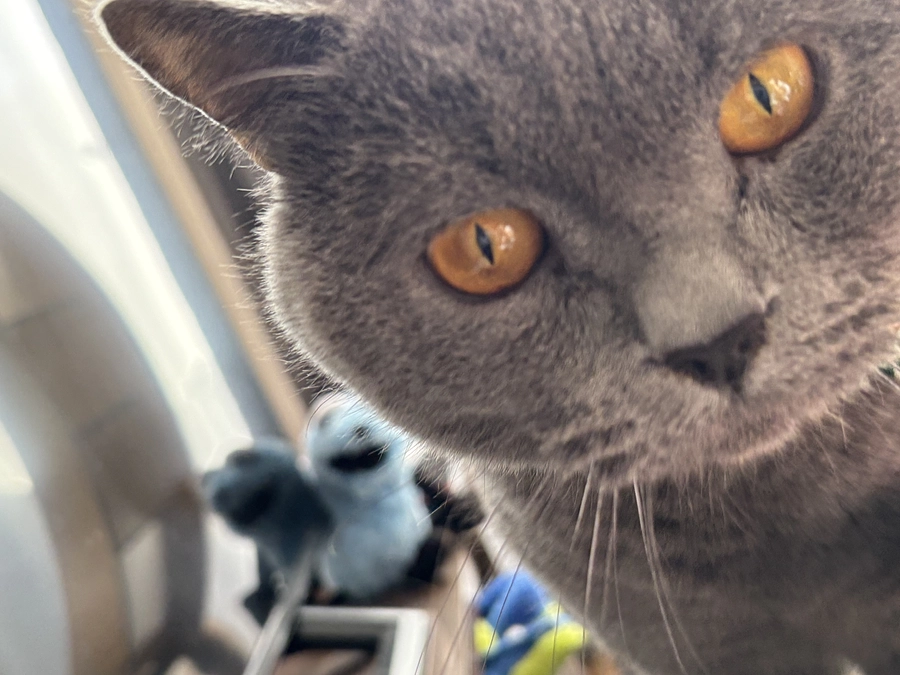 第一目標、達成しました！！！